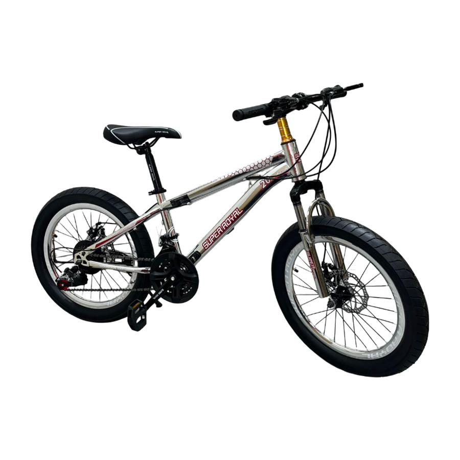 Bicicleta Aro 20 Laser Cromadas Gris