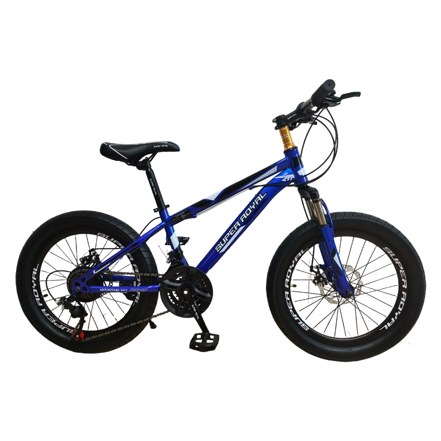 Bicicleta Aro 20 Montañeras Azul